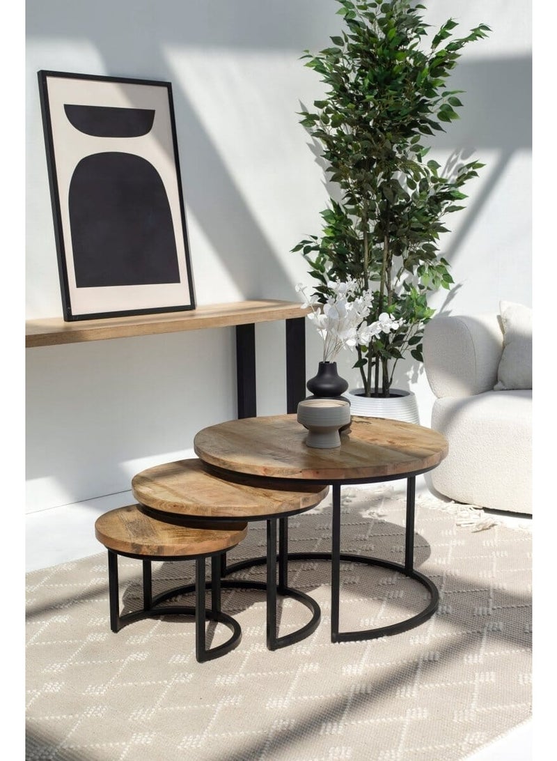 Raxoom Audrey Nesting Coffee Table Set | Solid Mango Wood Coffee Tables | Natural Wooden Center & Side Table for Living Room | Space Saving Design - Image 5